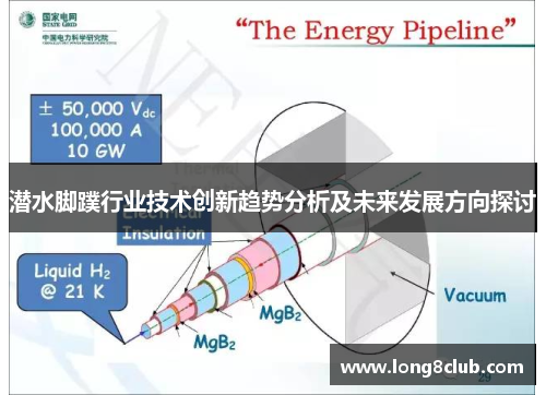 潜水脚蹼行业技术创新趋势分析及未来发展方向探讨